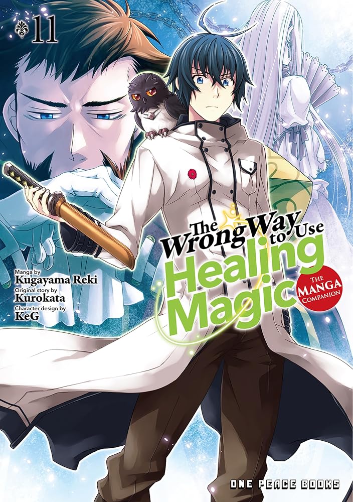 The Wrong Way to Use Healing Magic Volume 11: The Manga Companion cover image