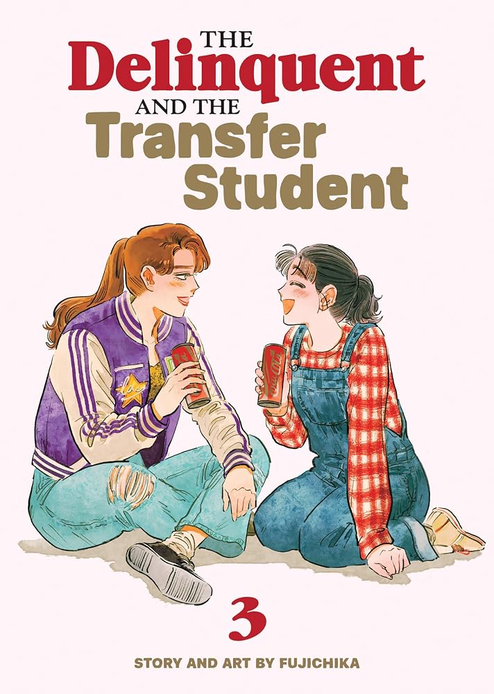 The Delinquent and the Transfer Student Vol. 3 cover image