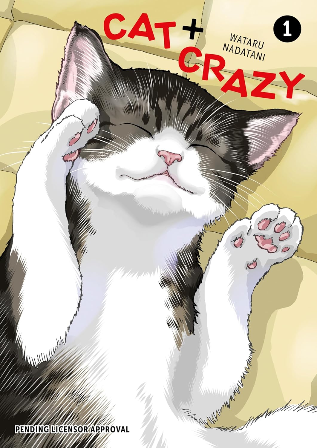 Cat + Crazy, Vol. 1