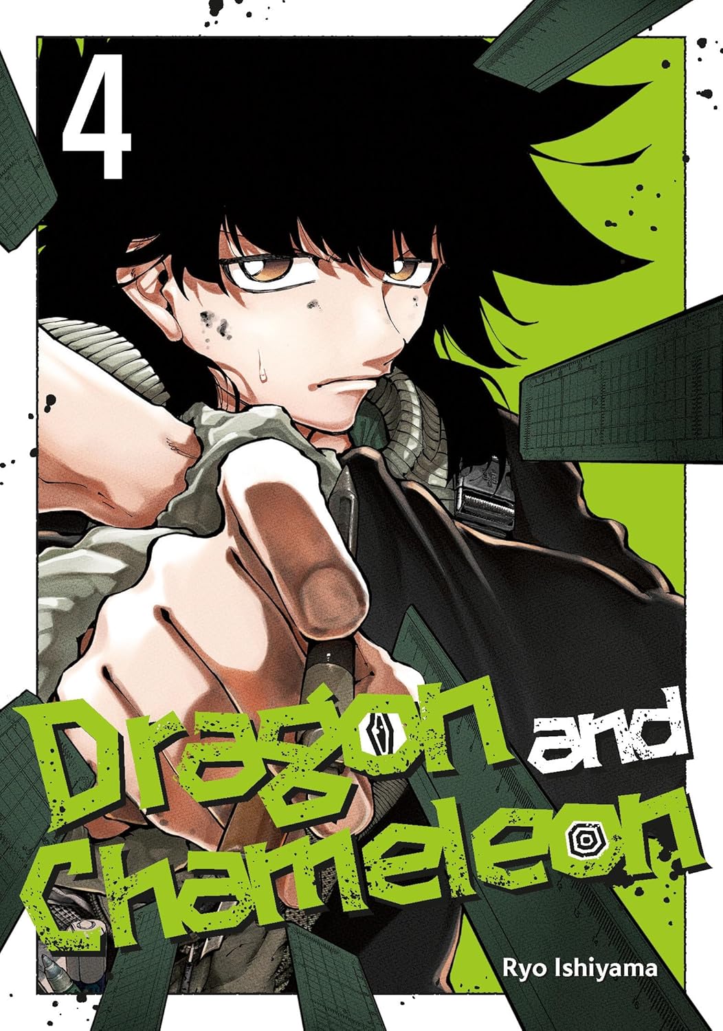 Dragon and Chameleon, Vol. 4