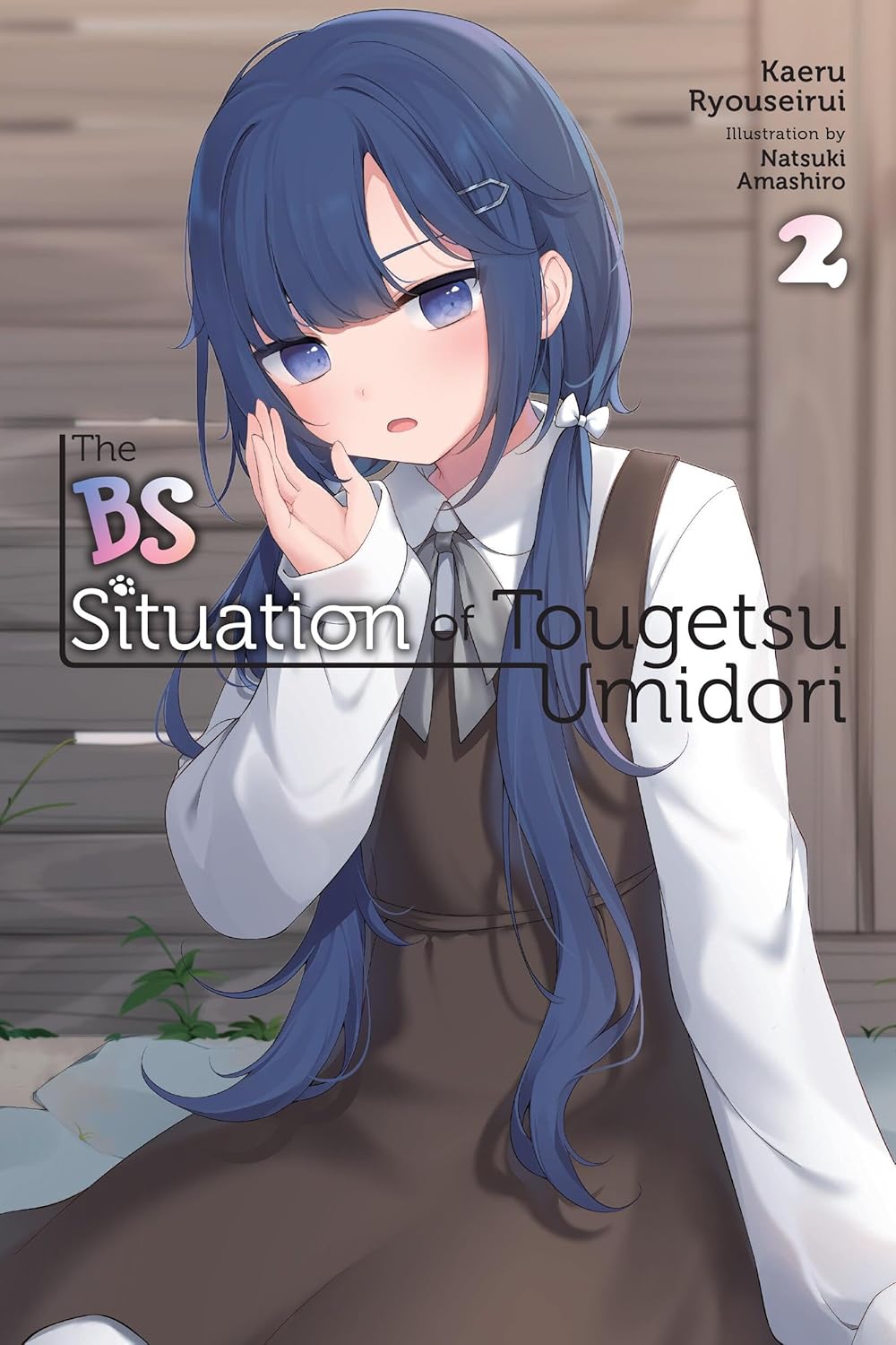 The BS Situation of Tougetsu Umidori, (Light Novel) Vol. 2