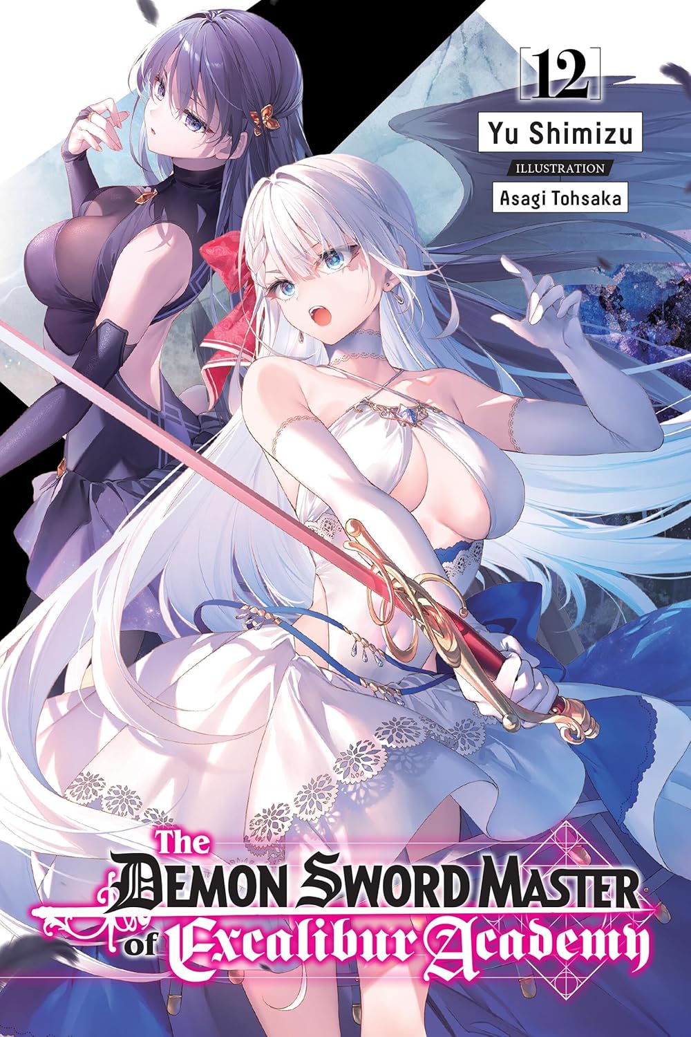 The Demon Sword Master of Excalibur Academy, (Light Novel) Vol. 12