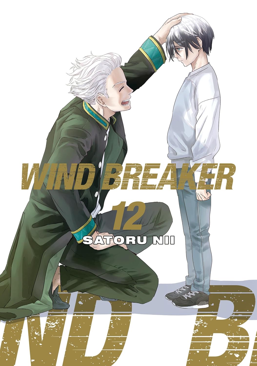 WIND BREAKER, Vol. 12