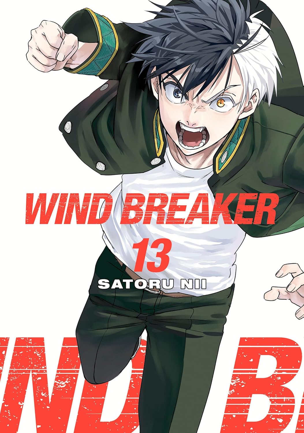 WIND BREAKER, Vol. 13