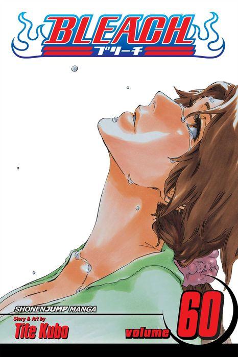 Bleach, Vol. 60: Everything But the Rain