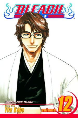 Bleach, Vol. 12: Flower on the Precipice, Print Books, Tite Kubo, MangaMart