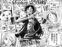 23 years of One Piece