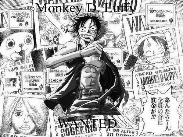 23 years of One Piece