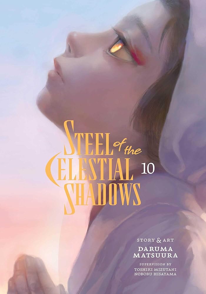 Steel of the Celestial Shadows, Vol. 10 cover image