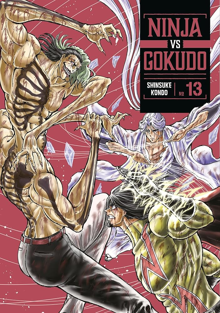 Ninja Vs. Gokudo 13 cover image