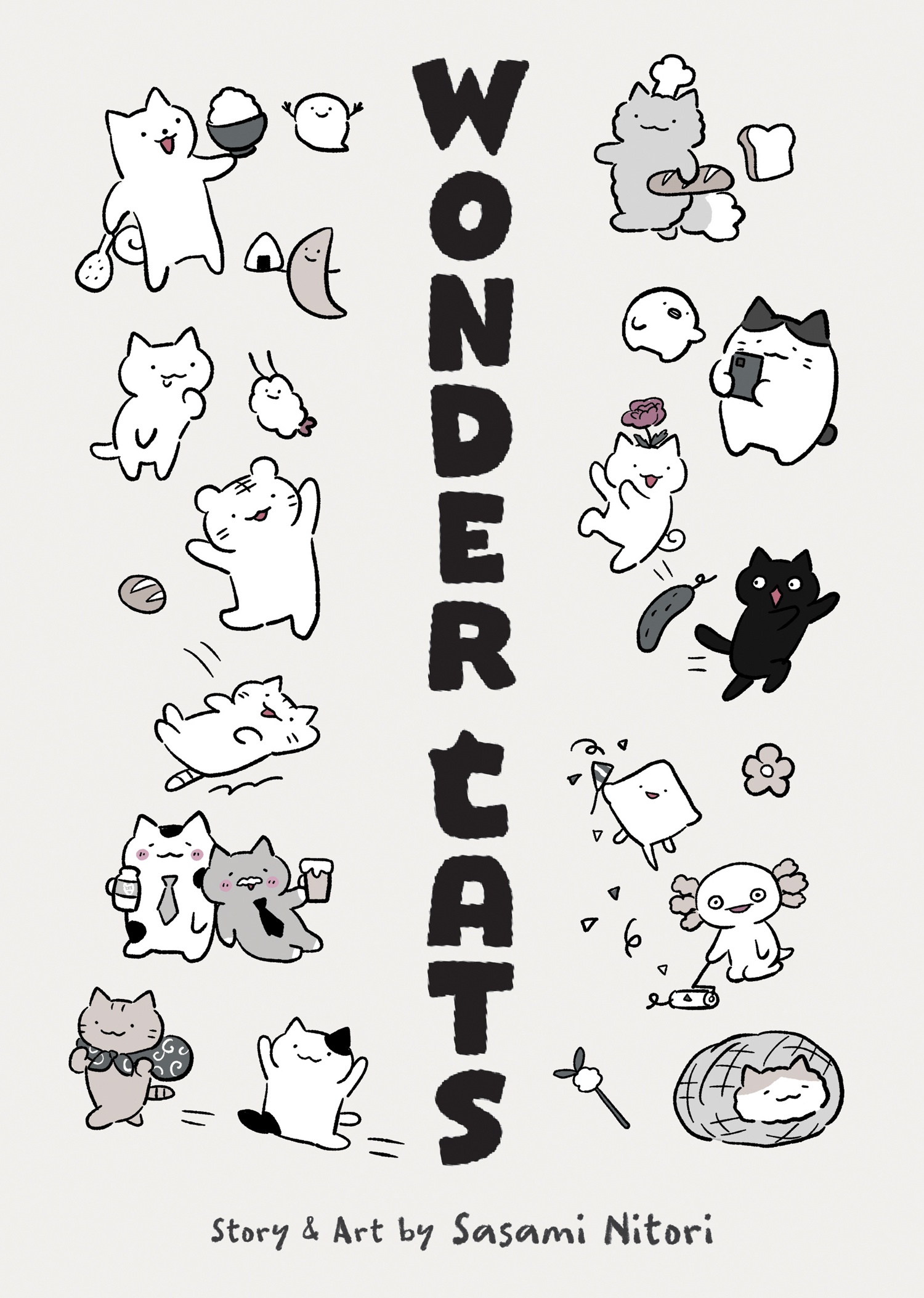 WONDER CATS