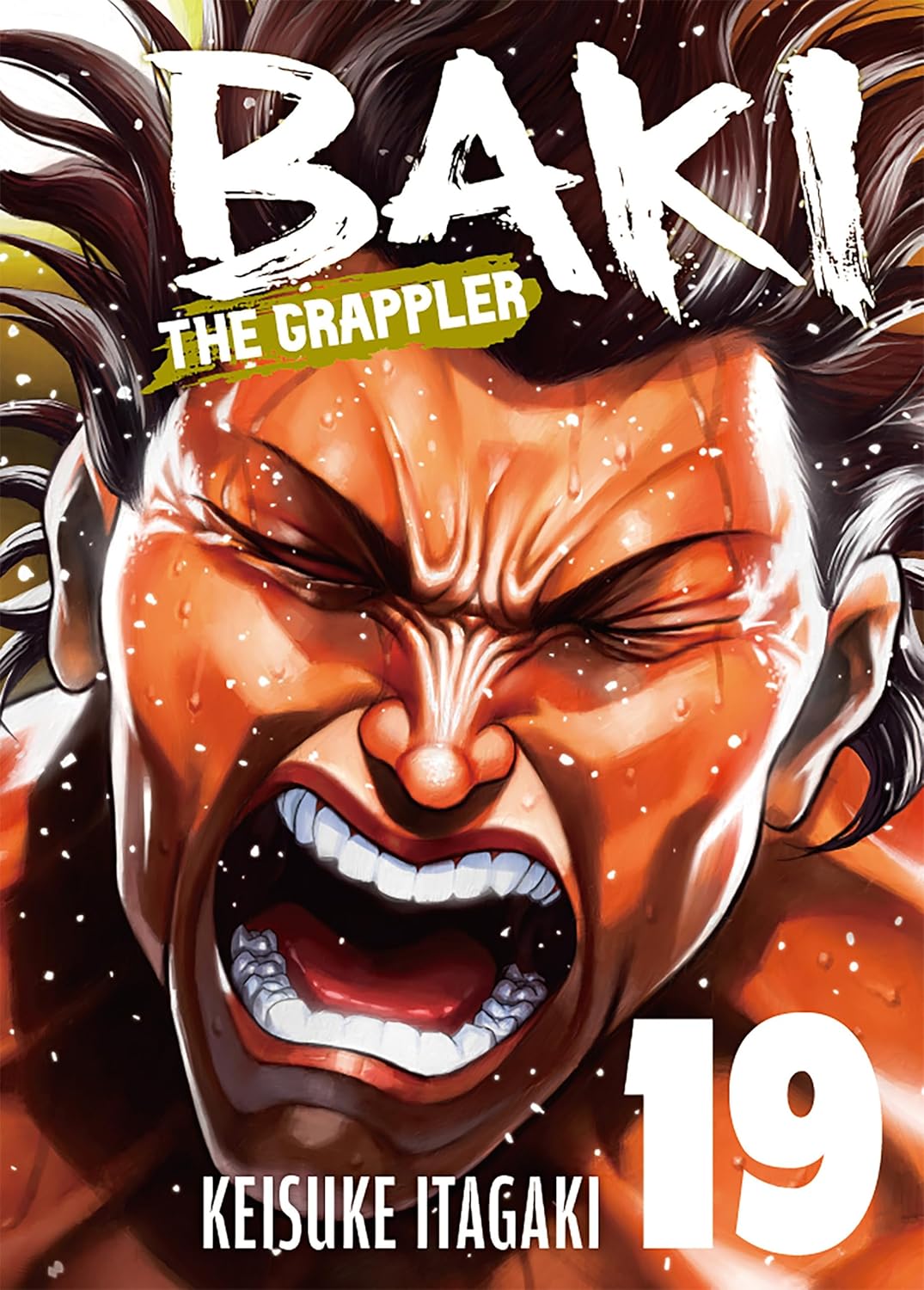 Baki the Grappler (Perfect Edition), Vol. 19