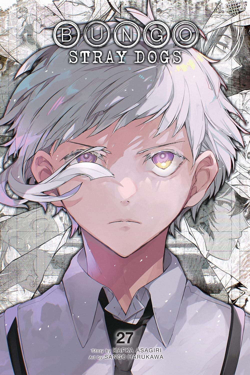 Bungo Stray Dogs, Vol. 27