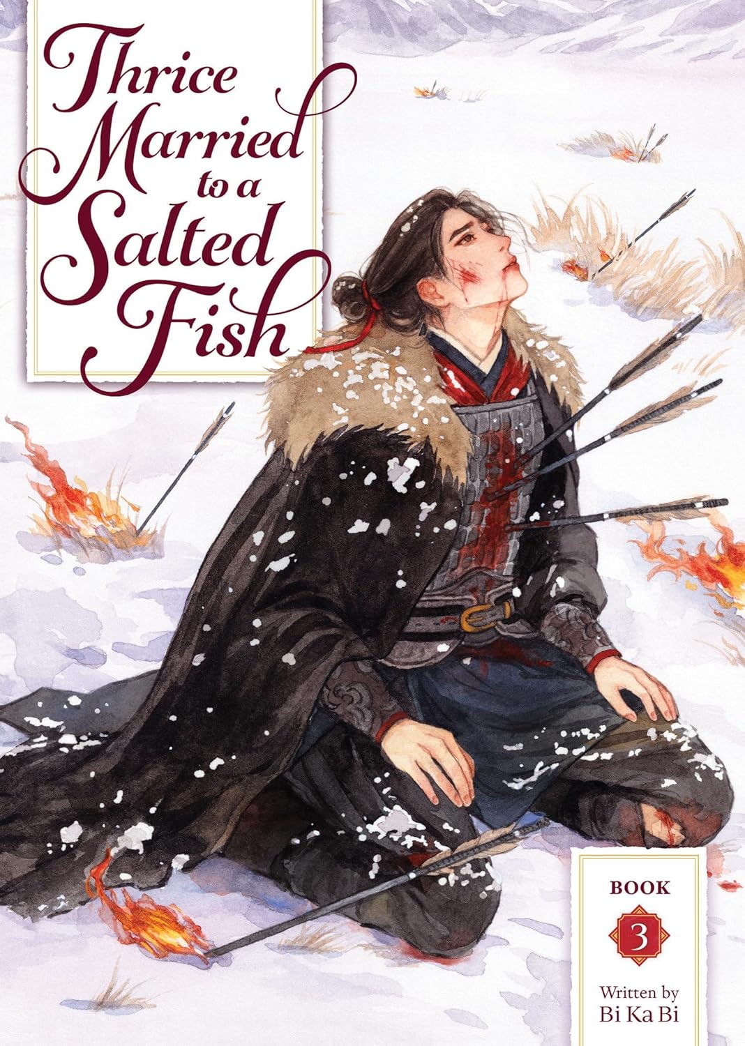 Thrice Married to a Salted Fish, (Novel) Vol. 3