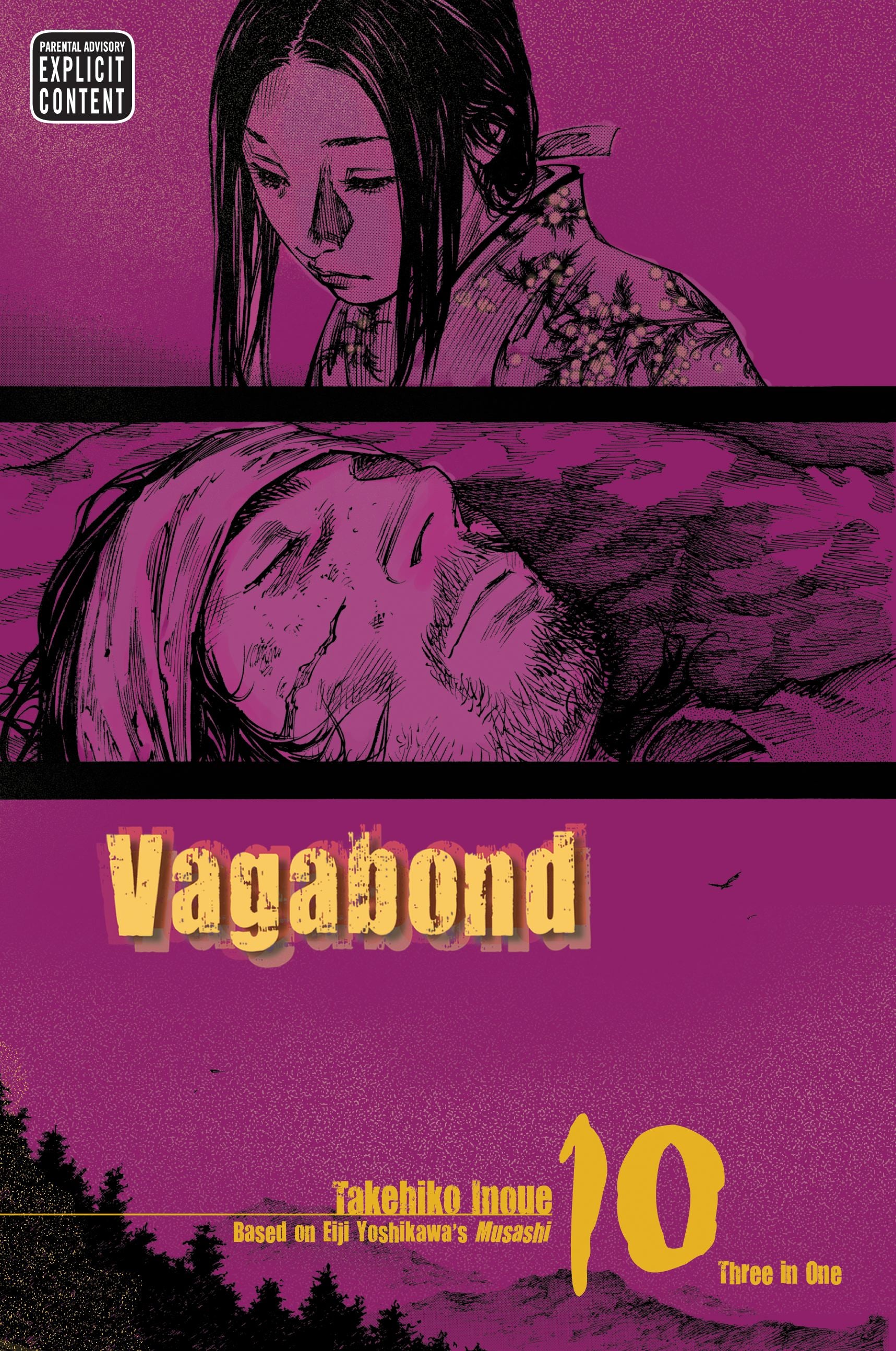 Vagabond (VIZBIG Edition), Vol. 10