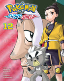 Pokémon: Sword & Shield, Vol. 12