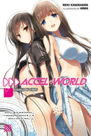 Accel World, Vol. 17 (light novel): Cradle of Stars