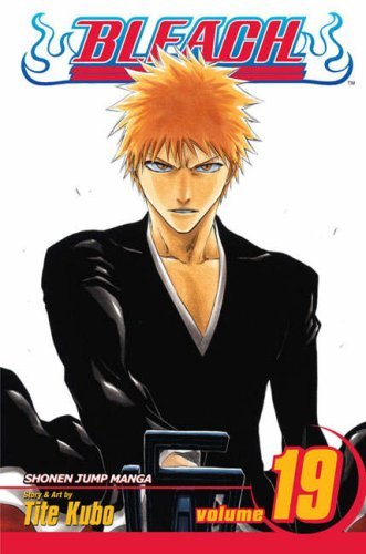 Bleach, Vol. 19: The Black Moon Rising