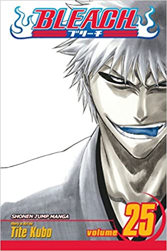 Bleach, Vol. 25: No Shaking Throne