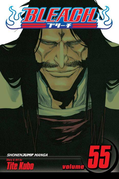 Bleach, Vol. 55: The Blood Warfare