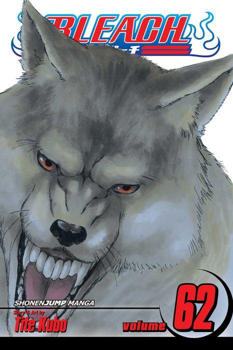 Bleach, Vol. 62: Heart of Wolf