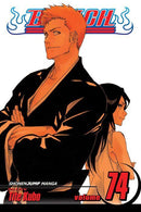 Bleach, Vol. 74: The Death and the Strawberry
