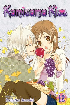 Kamisama Kiss, Vol. 12