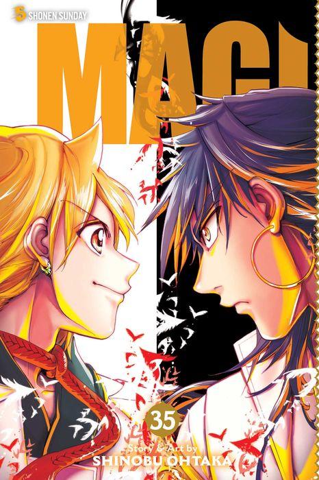 Magi: The Labyrinth of Magic, Vol. 35