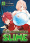 That Time I Got Reincarnated as a Slime, Volume 3 (manga)